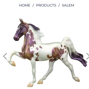 ISO Breyer Salem 2019